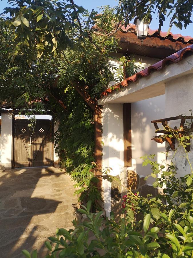 Namaste Къща В Село Камилски Дол Kamilski Dol Dış mekan fotoğraf